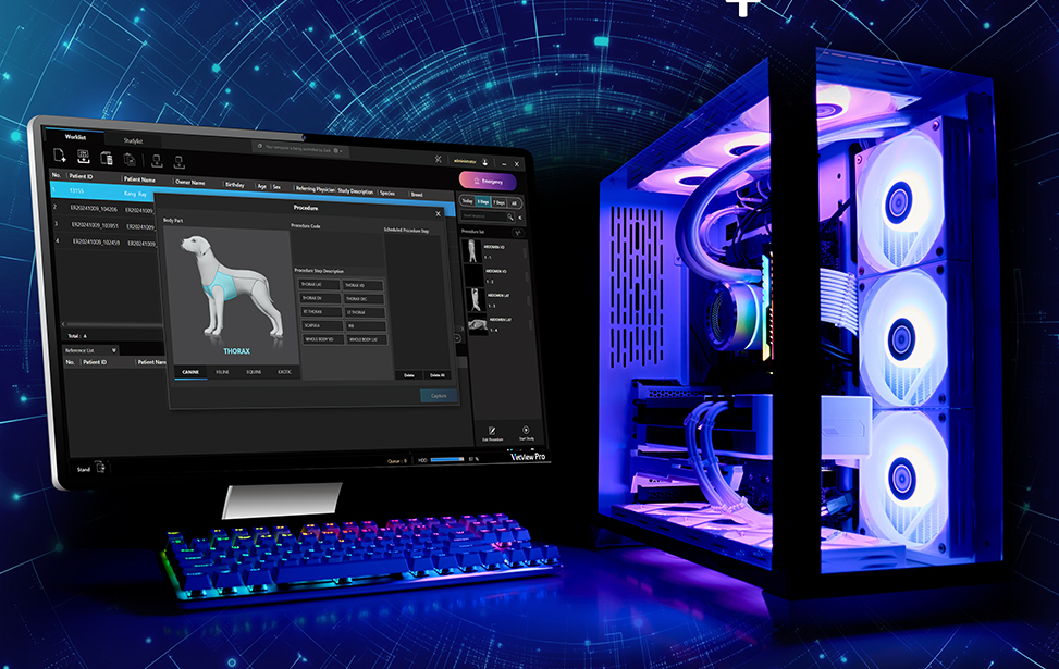 MyVet CT image